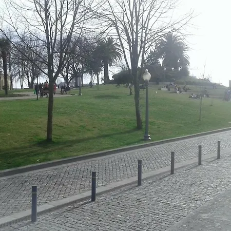 Douro Bridge Avenue *